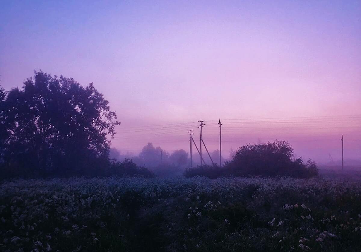 围绕人人影视做笔记：今天的主题是信息茧房（做一次结构复盘）
