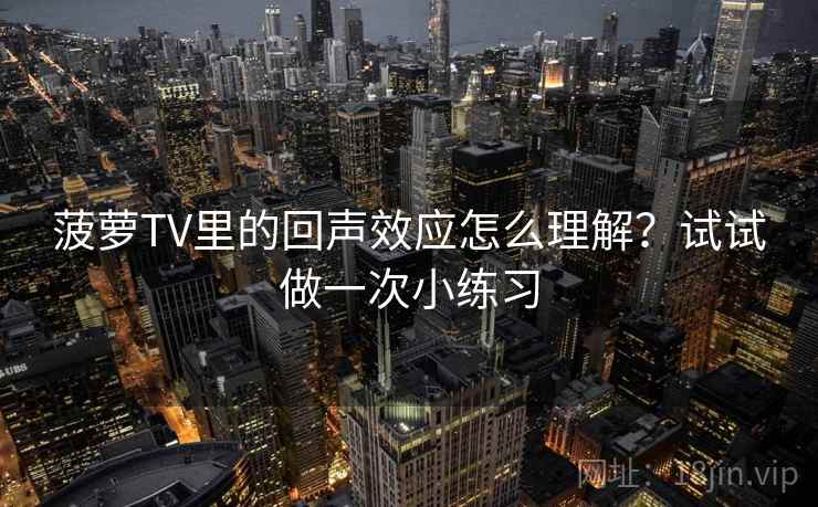 菠萝TV里的回声效应怎么理解？试试做一次小练习